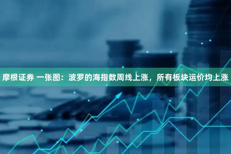 摩根证券 一张图：波罗的海指数周线上涨，所有板块运价均上涨