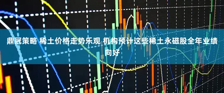 鼎冠策略 稀土价格走势乐观 机构预计这些稀土永磁股全年业绩向好