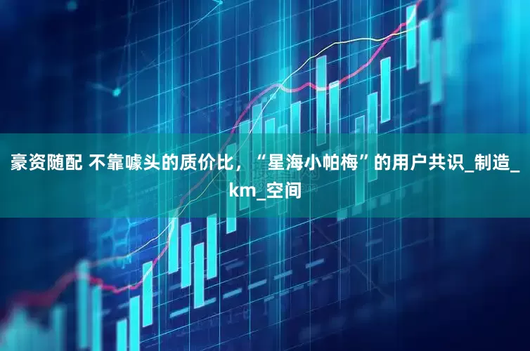 豪资随配 不靠噱头的质价比，“星海小帕梅”的用户共识_制造_km_空间