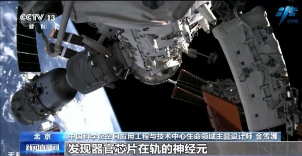 弘大速配 中国空间站完成空间生命科学在轨实验任务 还刷新一项新纪录