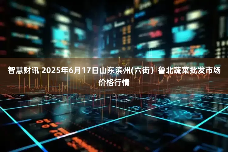 智慧财讯 2025年6月17日山东滨州(六街）鲁北蔬菜批发市场价格行情