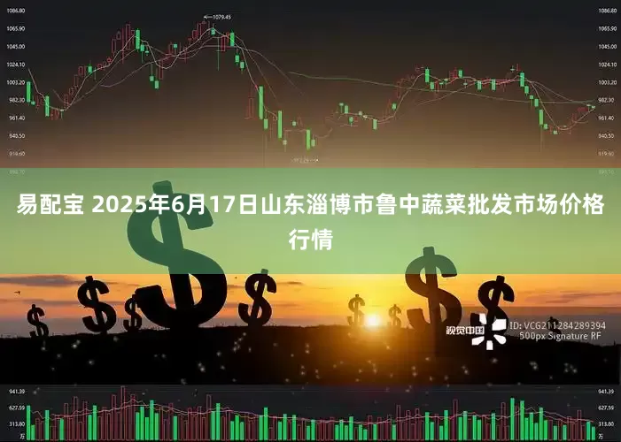 易配宝 2025年6月17日山东淄博市鲁中蔬菜批发市场价格行情